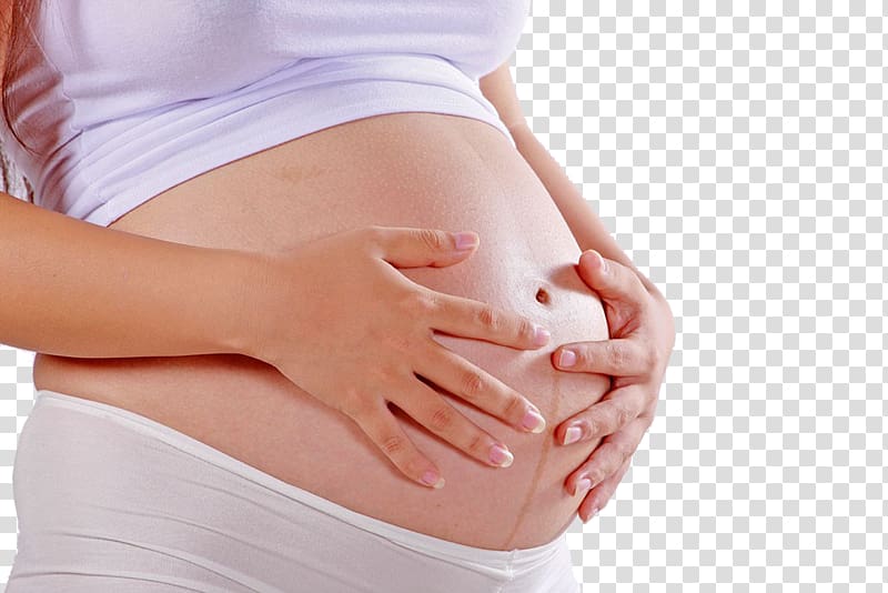 Pregnancy Mother Woman Abdomen Linea nigra, Pregnant woman,belly,pregnancy,Mother,Pregnant mother transparent background PNG clipart