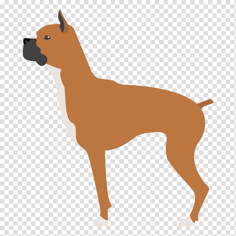 Dog breed Boxer Puppy Companion dog English Mastiff, puppy transparent background PNG clipart