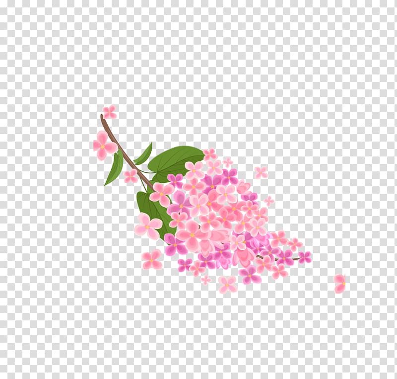 Pink flowers , Pink Japanese Elements Sakura Collection transparent background PNG clipart