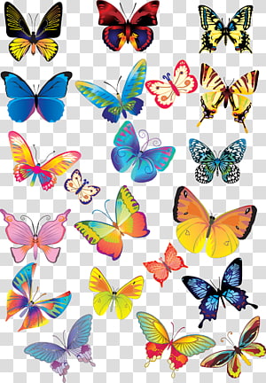 Butterfly Encapsulated PostScript , butterfly transparent background PNG clipart thumbnail