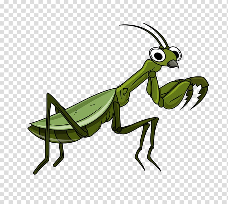 green praying mantis illustration, Infant Cartoon Illustration, play baby ducklings transparent background PNG clipart