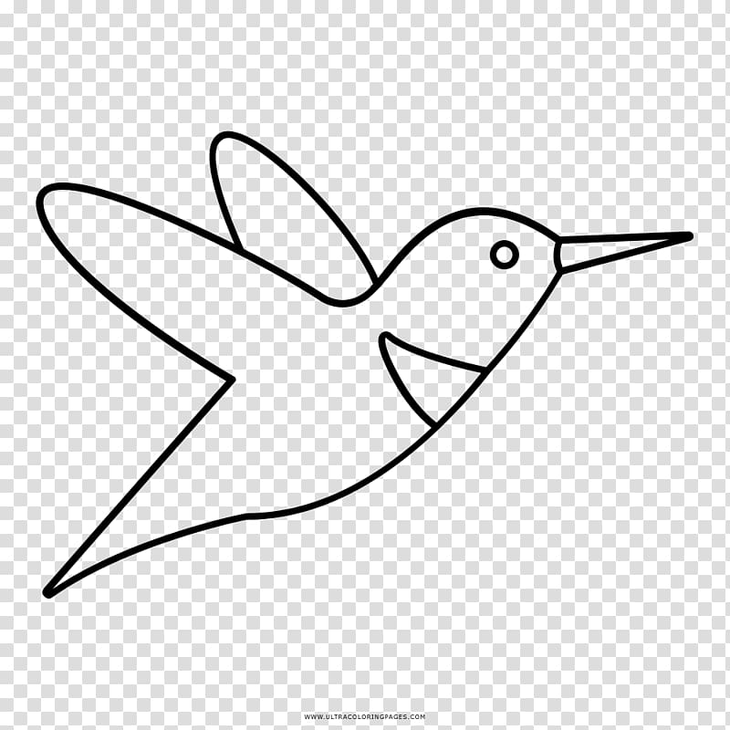 Hummingbird Drawing Black and white Coloring book, cabeza transparent background PNG clipart