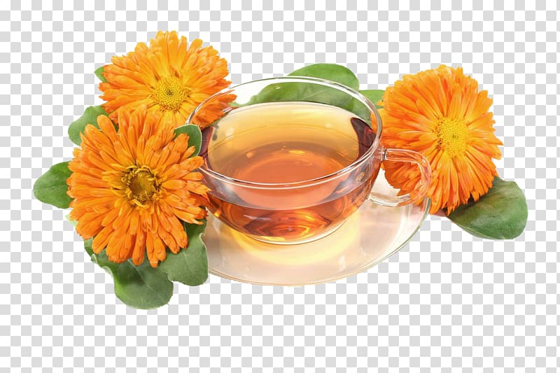 Tea Mexican marigold Calendula officinalis Flower, Marigold and tea-free material transparent background PNG clipart