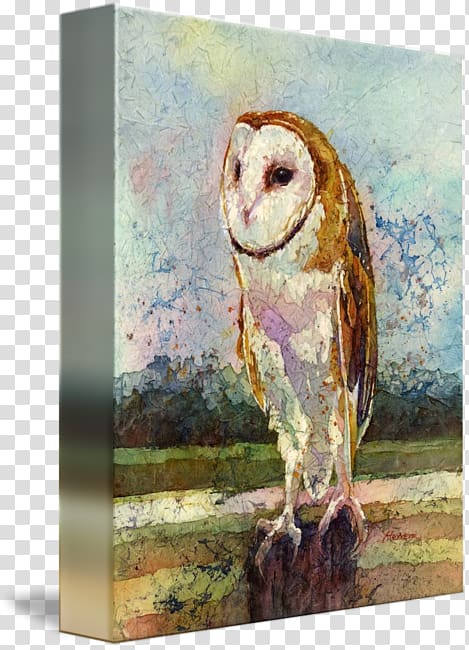 Owl Watercolor painting Watermedia Bird, Barn Owl transparent background PNG clipart