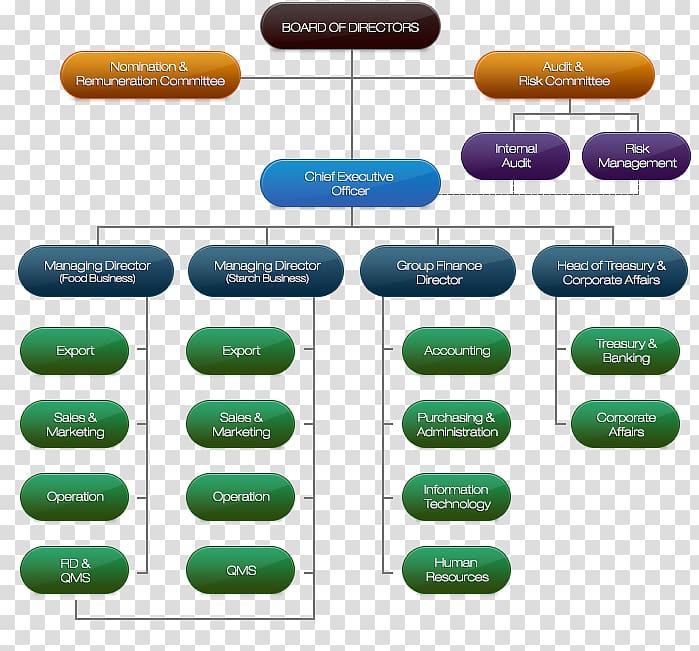 Organizational structure Public company Organizational chart Limited ...