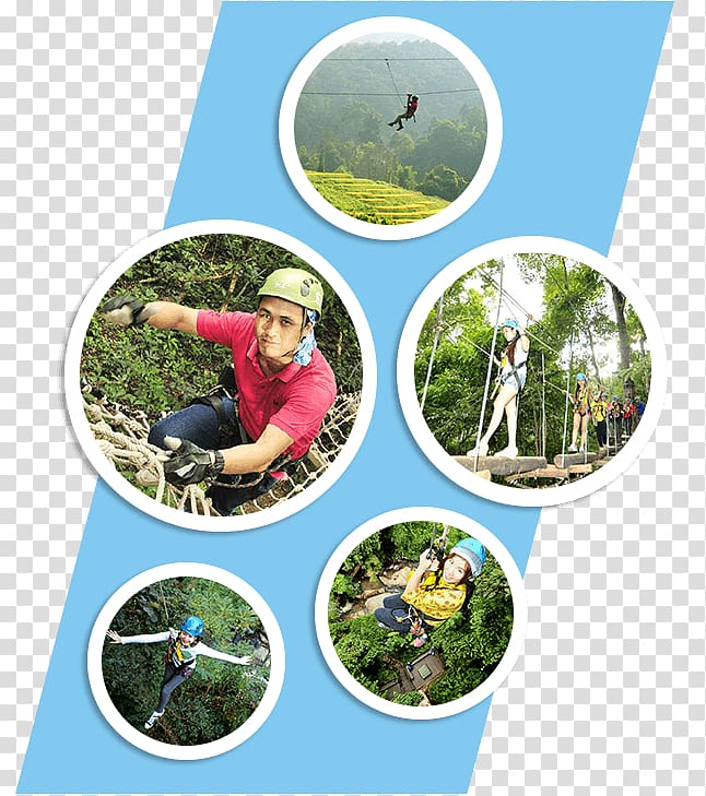 Chiang Mai Tourism Ecosystem Jungle Rainforest, cHiangmai transparent background PNG clipart