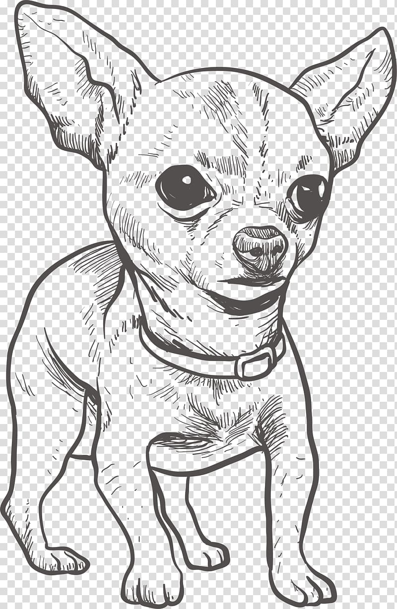 chihuahua sketch, Chihuahua Puppy Drawing Illustration, Hand drawn Chihuahua transparent background PNG clipart