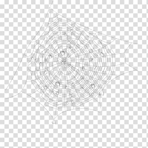 Spider web Line Pattern, spider transparent background PNG clipart