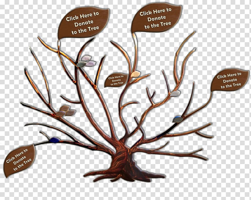 Branch Adoption Family tree Genealogy, New Arrival Flyer transparent background PNG clipart