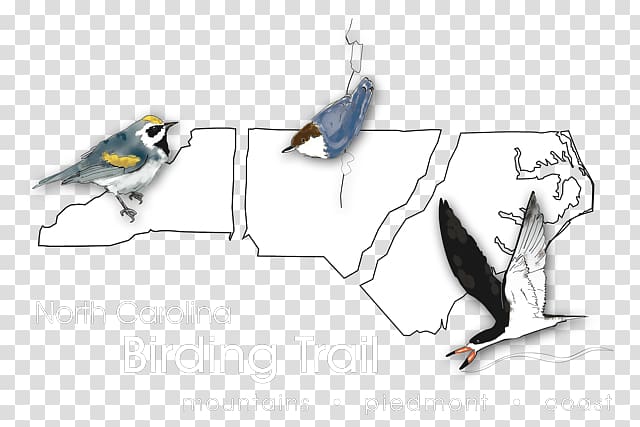 Birdwatching The North Carolina Birding Trail: Mountain Trail Guide Beak, park trail transparent background PNG clipart