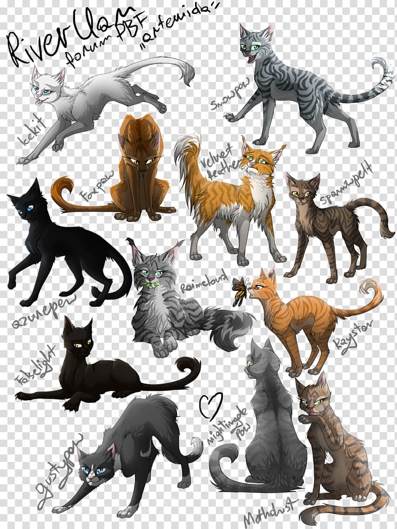 Cat Ashheart Mothwing Spottedleaf Jayfeather, Cat transparent background PNG clipart