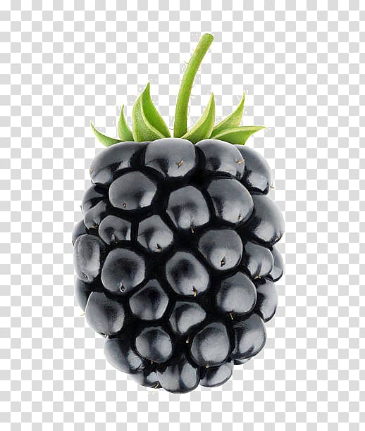 White blackberry Fruit, blackberry transparent background PNG clipart
