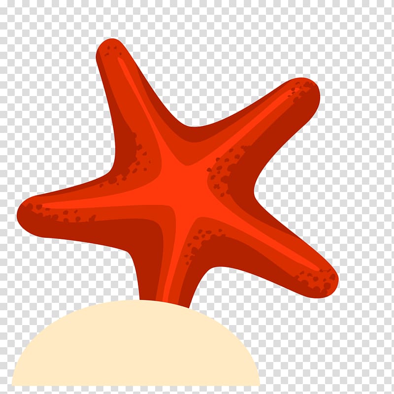 Starfish Drawing Euclidean , Hand-painted starfish transparent background PNG clipart