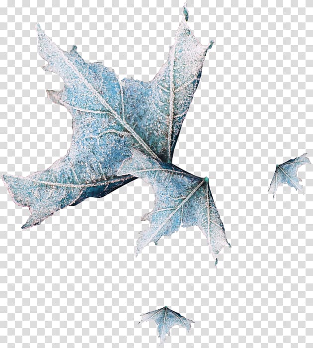 Autumn leaf color Autumn leaf color Winter Flower, autumn transparent background PNG clipart