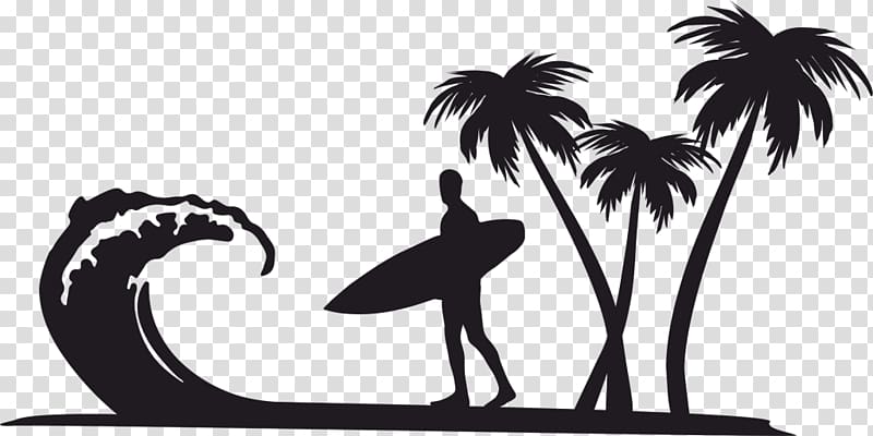 Wind wave Arecaceae Surfing , others transparent background PNG clipart
