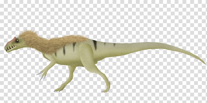 Allosaurus Velociraptor Tyrannosaurus Torvosaurus Brachiosaurus, Allosaurus Lucasi transparent background PNG clipart