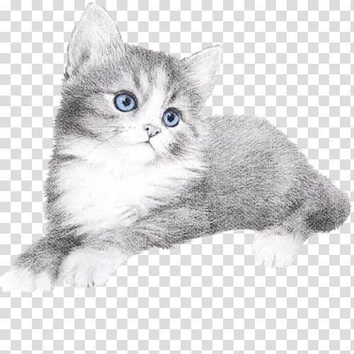 Blog Cat, others transparent background PNG clipart
