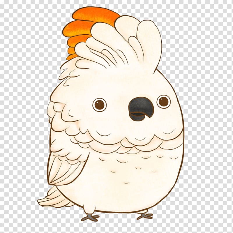Chicken The Chubbies Bird Owl Cockatoo, chicken transparent background PNG clipart