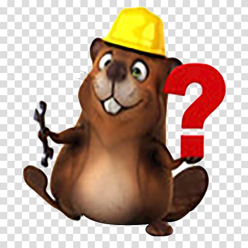 Beaver , Hated beaver transparent background PNG clipart