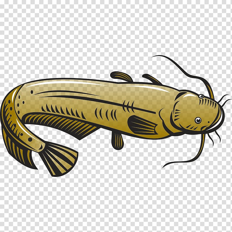 Catfish graphics Illustration , fish tattoo transparent background PNG clipart