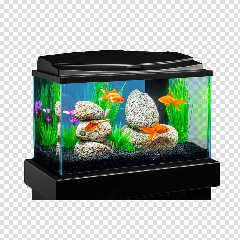 Aquariums Goldfish Aqua Culture 10-Gallon Aquarium Starter Kit, Fish Tanks Direct transparent background PNG clipart