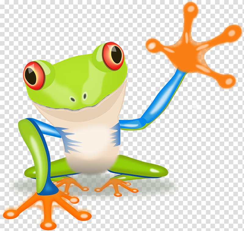 green and blue poison frog art, Red-eyed tree frog Australian green tree frog , Cartoon frog transparent background PNG clipart