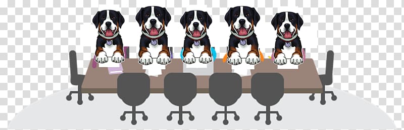 Greater Swiss Mountain Dog Appenzeller Sennenhund Board of directors, Greater Swiss Mountain Dog transparent background PNG clipart
