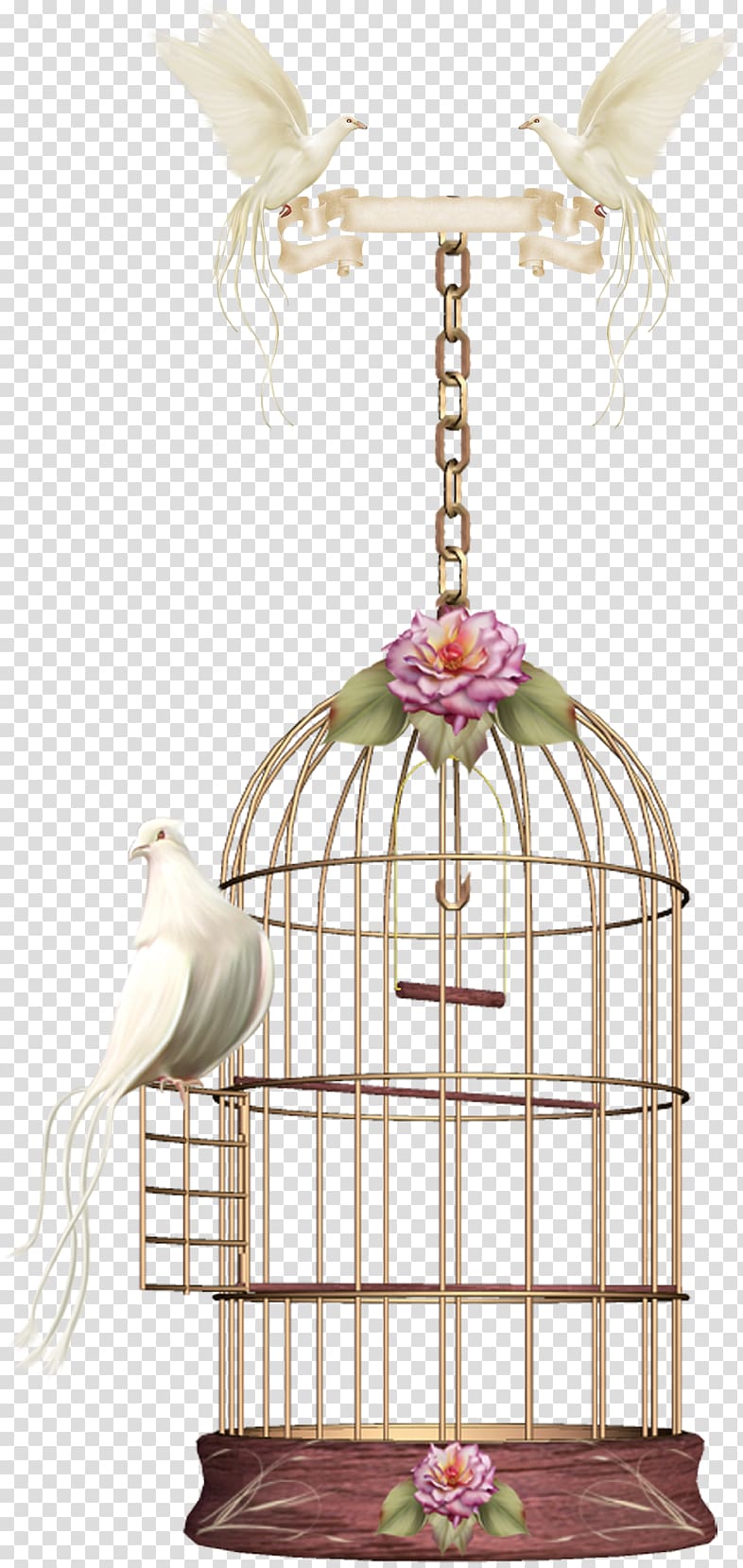 white bird on cage, Birdcage Parrot, birdcage transparent background PNG clipart