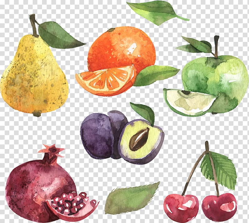 apple, orange, cherry, fig fruit, and pear fruit digital illustration, Apple Fruit Euclidean , Watercolor Green Apple Fruit transparent background PNG clipart