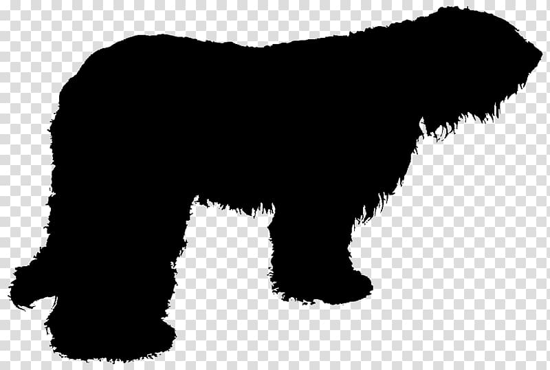 Miniature Schnauzer Affenpinscher Newfoundland dog Puppy Dog breed, puppy transparent background PNG clipart