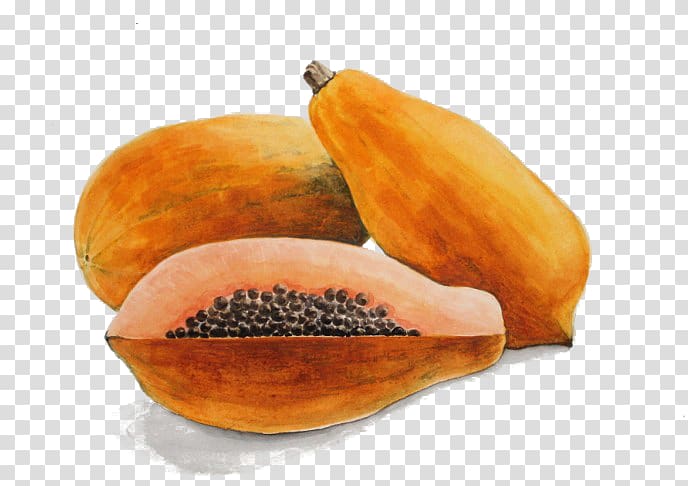 Papaya Watercolor painting Fruit, Hand-painted Papaya transparent background PNG clipart