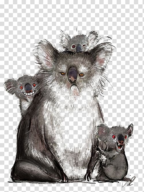 Koala Drawing Website Illustration, Koala transparent background PNG clipart