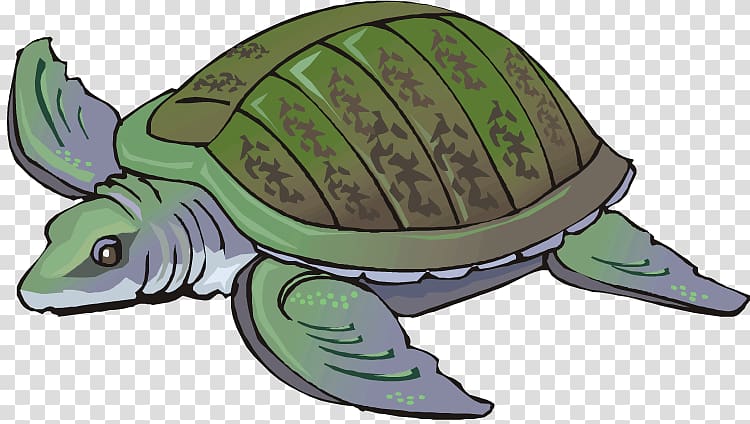 Loggerhead sea turtle Common snapping turtle Tortoise, turtle transparent background PNG clipart