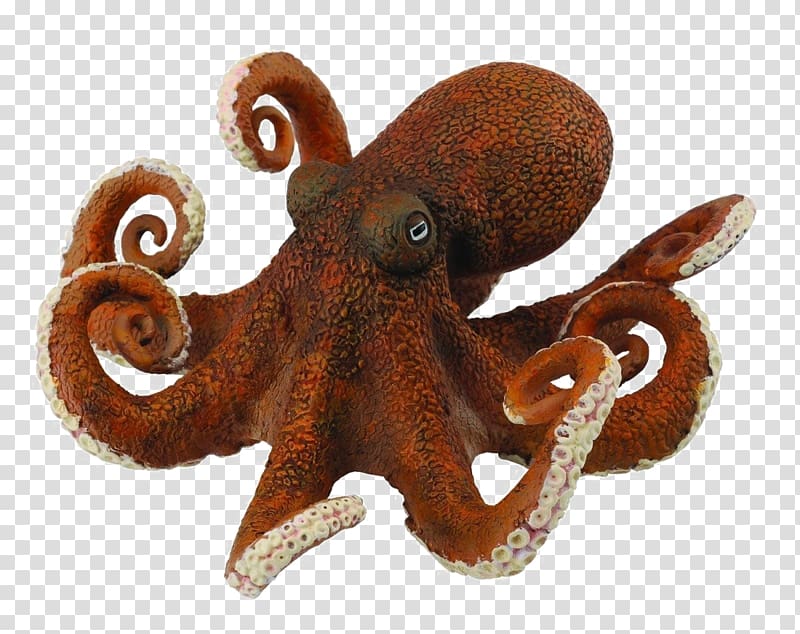 Collecta Octopus Toy Amazon.com Collecta Orca,XL-, toy transparent background PNG clipart