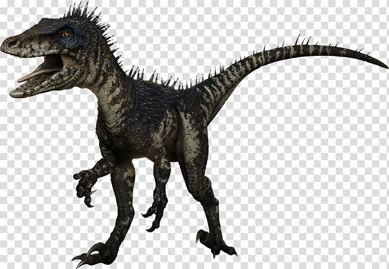 Deinonychus Albertosaurus Velociraptor Spinosaurus Deinosuchus, jurassic world transparent background PNG clipart