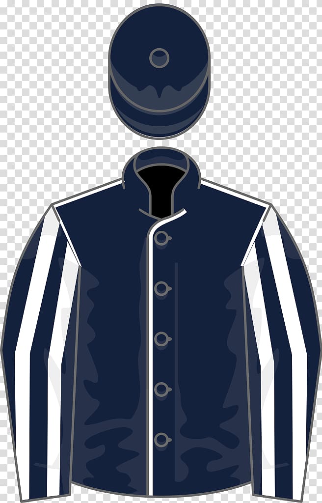 Epsom Oaks Horse Coronation Cup Eclipse Stakes The Grand National, Mr. Ray transparent background PNG clipart