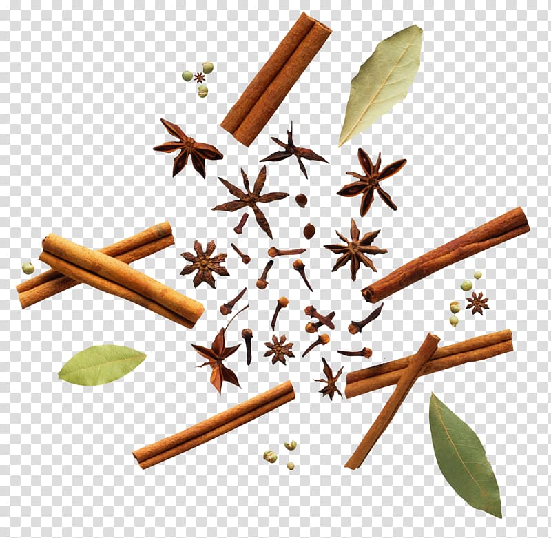star anise garnish transparent background PNG clipart