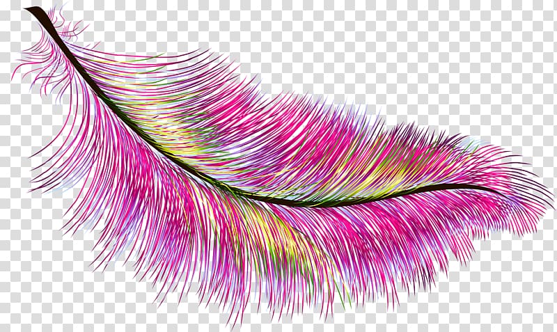Feather Color Peafowl, Small colored feathers transparent background PNG clipart