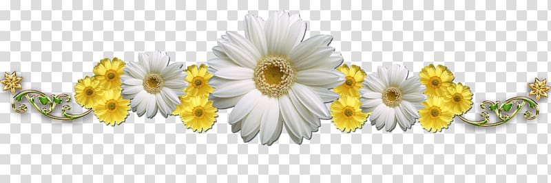 Flower Text , camomile transparent background PNG clipart