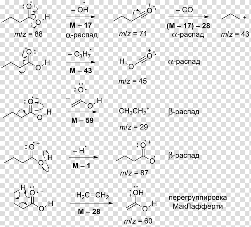 Butyric acid Carboxylic acid Adipic acid Organic compound, salt transparent background PNG clipart