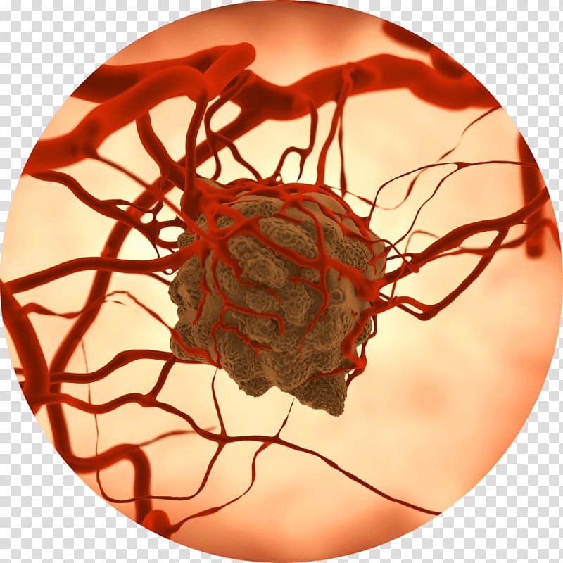 Featured image of post Cancer Cells Clipart Png Also find more png clipart about phone clipart aware clipart mobile clipart