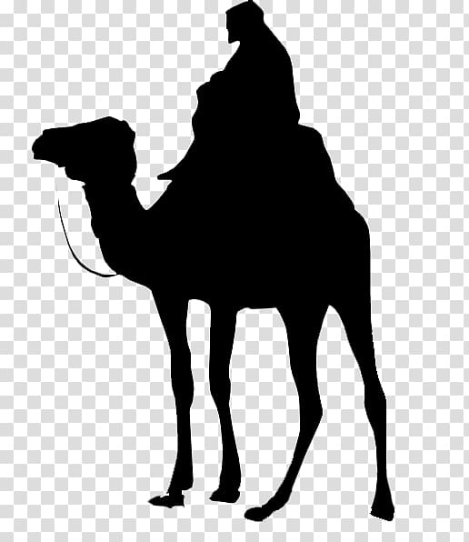 Dromedary Battle of Karbala Pack animal Battle of Siffin Desert, others transparent background PNG clipart