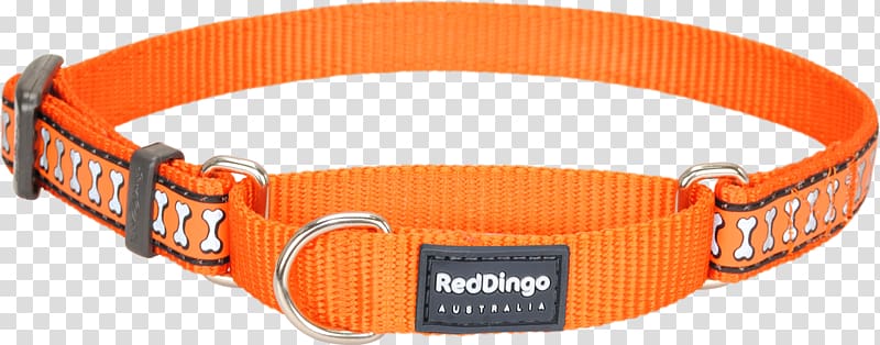 Dog collar Dingo Cat, Dog transparent background PNG clipart