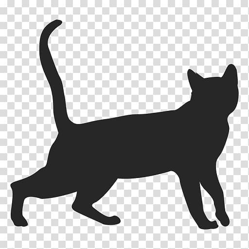 Black cat Domestic short-haired cat Persian cat American Shorthair , Dog transparent background PNG clipart