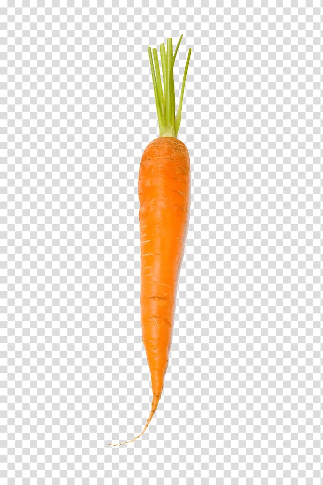 orange carrot, Baby carrot Orange, carrot transparent background PNG clipart