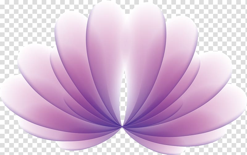 Fan-shaped flowers transparent background PNG clipart