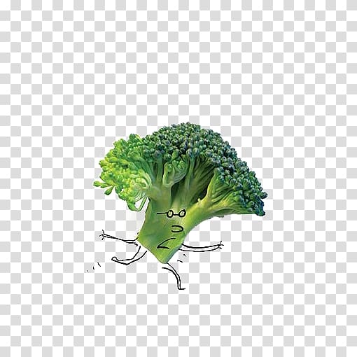 Food Salad Vegetable Broccoli, Cartoon broccoli transparent background PNG clipart