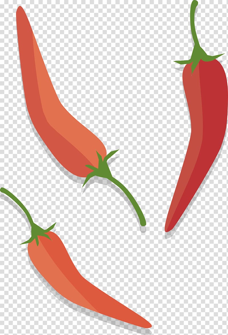 three chili peppers illustration, Tabasco pepper Birds eye chili Serrano pepper Cayenne pepper , Pepper transparent background PNG clipart