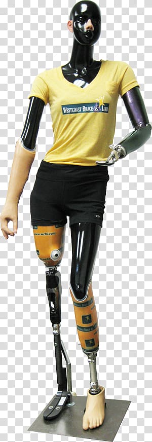 Prosthesis Amputation Westcoast Brace & Limb Joint, right arm muscle name transparent background PNG clipart