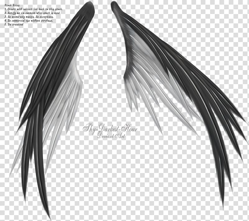 Wing Information Black and white, wings angel transparent background PNG clipart